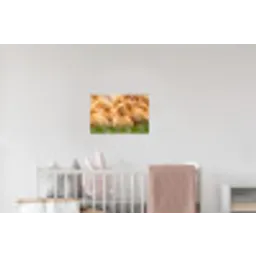 Pijltje - Eend - Natuur - Geel Muursticker klein -kinderkamer