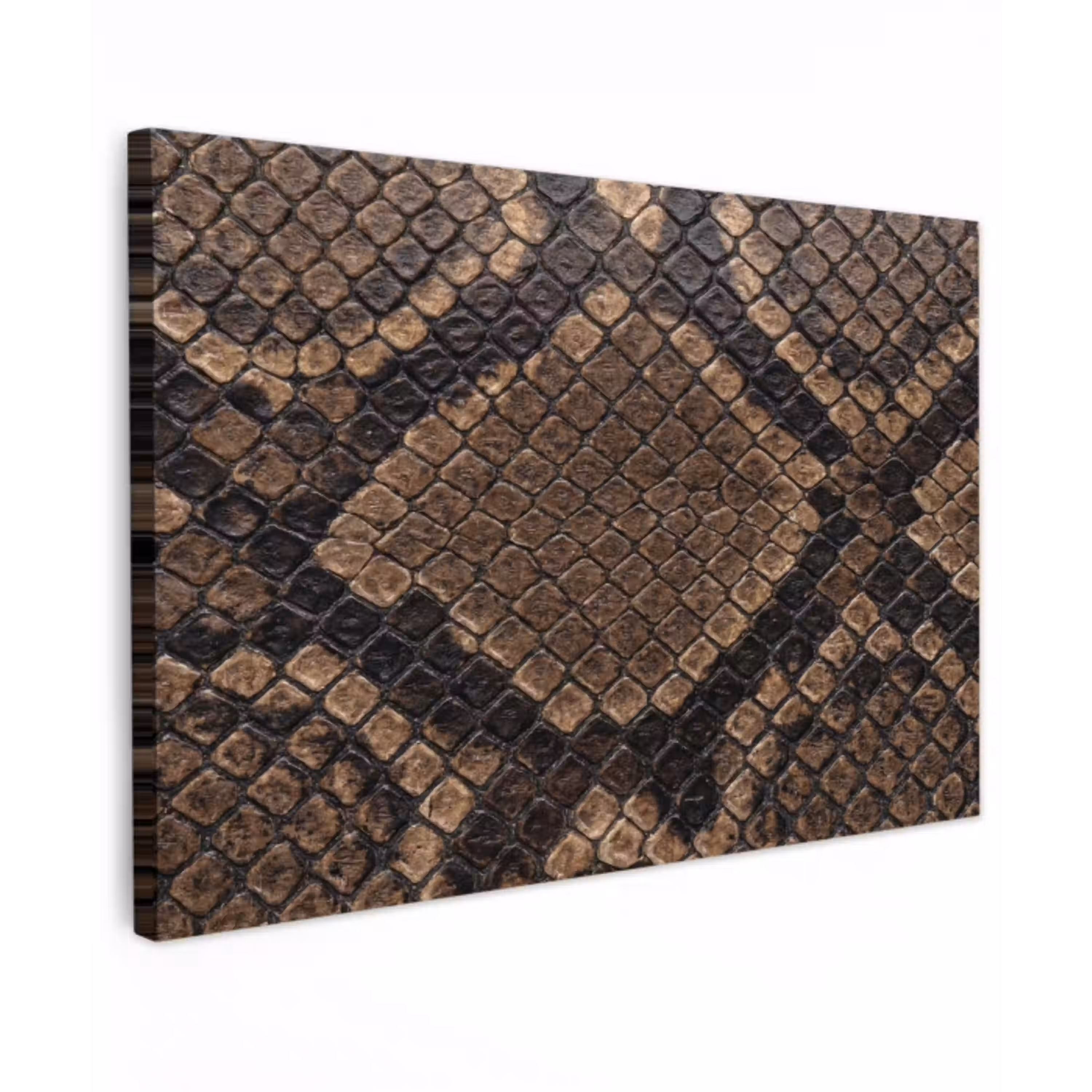 Python - Schubben - Brons canvas 2cm klein -z3d