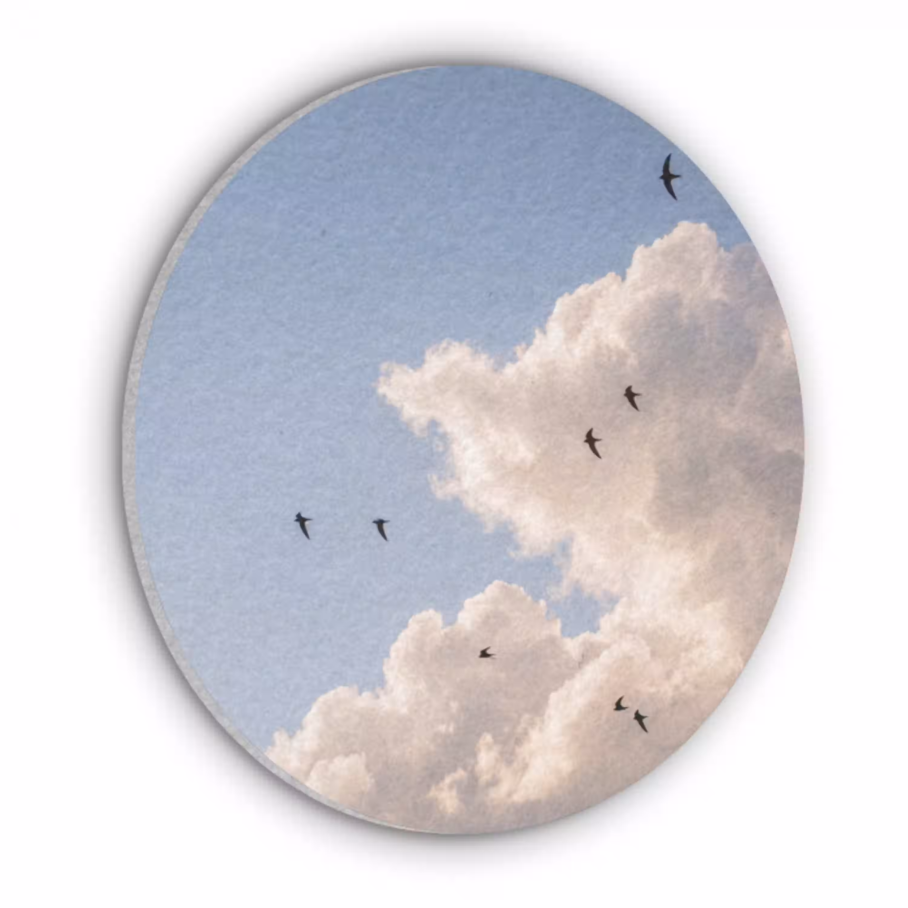 Vogel - Vlucht - Wolken - Natuur - Blauw Akoestische PET Vilt - Rond klein -3d
