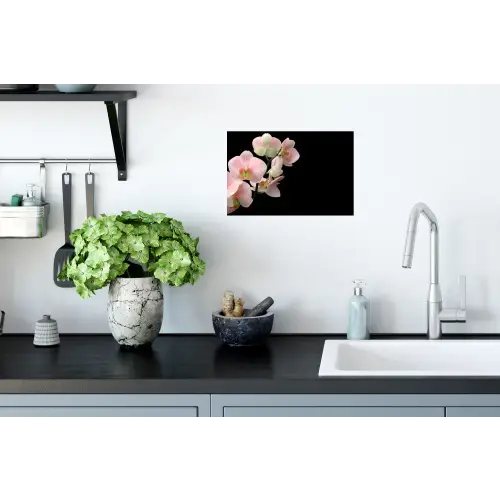 Orchidee - Bloemen - Roze - Stilleven - Flora Muursticker klein -keuken