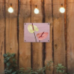 Bloemen - Anthuriums - Geel - Roze tuinposter los doek klein -sfeer1