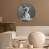 Sphynx - Kat - Dieren - Humor - Spaghetti - Zwart Wit Akoestische PET Vilt - Rond klein -sfeer1