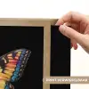 Vlinder - Kleurrijk - Speels Light Box met batterij (Wandlamp) middel -USP_websiteprintNL