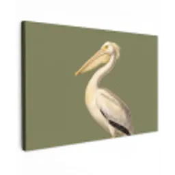 Pelikaan - Wit - Vogel - Klassiek - Natuur canvas 2cm klein -z3d