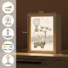 Wilde dieren - Safari - Watercolor - Luchtballon Light Box met kabel klein -USP_NL