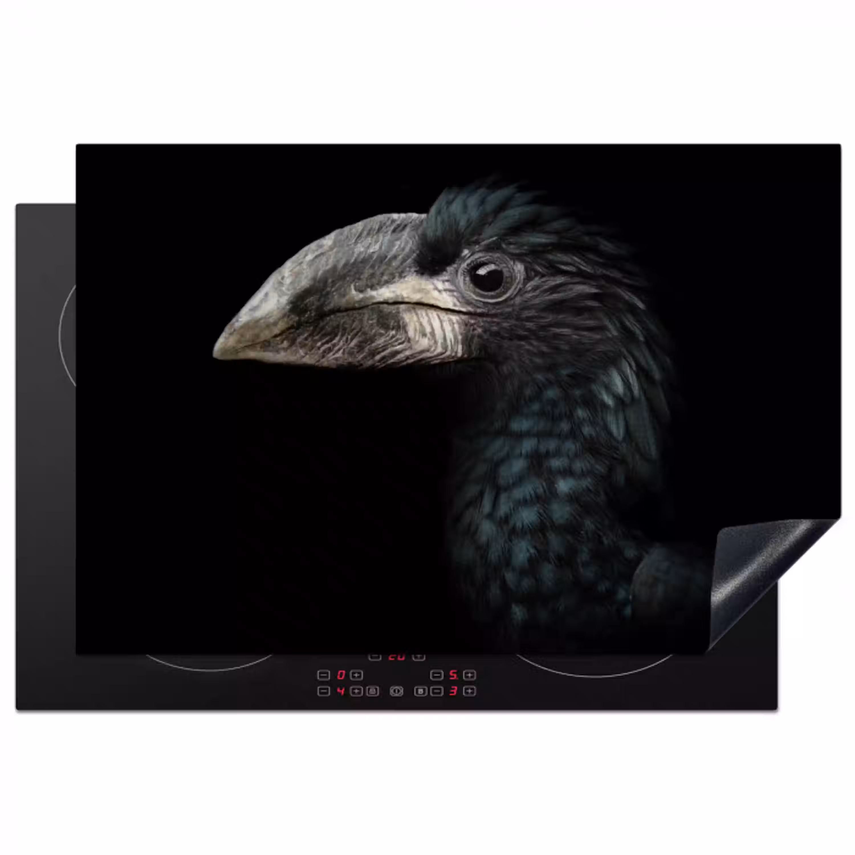 Vogel - Portret - Neushoornvogel - Zwart - Dieren Inductie beschermer vinyl 3mm klein -3d