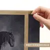Paard - Magisch - Zwart Light Box met batterij (Wandlamp) middel -USP_websiteprintNL