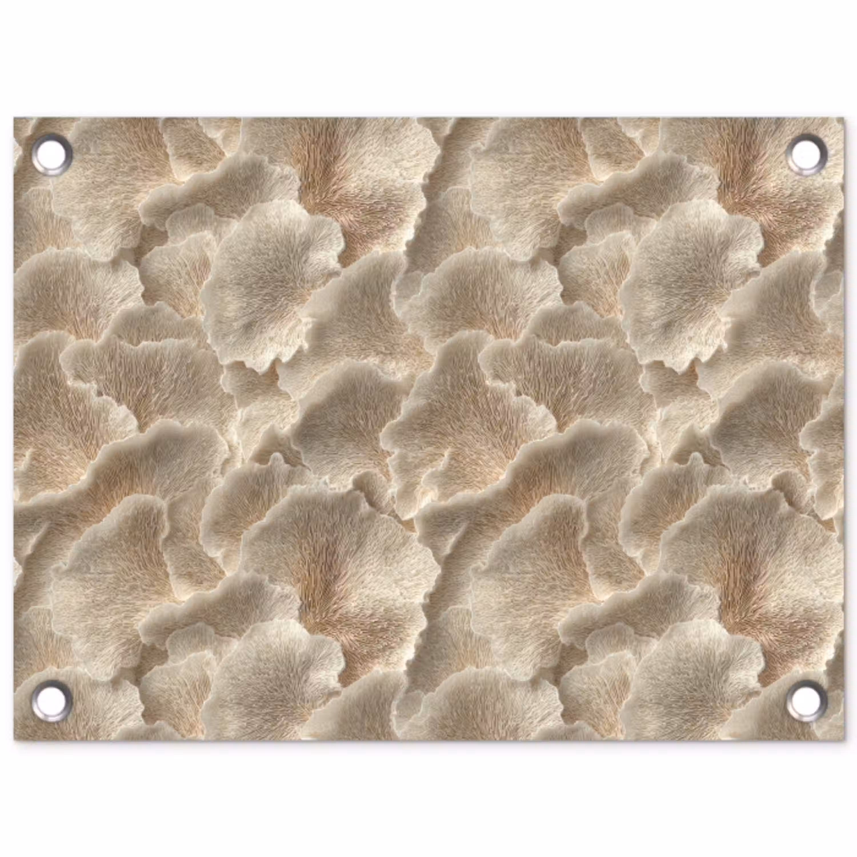 Waaierstructuren - Beige - Vezeltextuur tuinposter los doek klein 239 -3d
