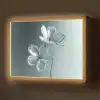 Kristal - Bloemen - Grijs Light Box met batterij (Wandlamp) middel -z3d_website