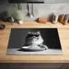 Langharige kat - Zonnebril - Spaghetti - Humor - Zwart - wit Inductie beschermer vinyl 3mm klein -sfeer5