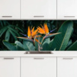 Paradijsvogel - Bloem - Exotisch keuken achterwand 2 middel -3d