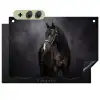 Portret - Paard - Zwart Inductie beschemer met haakjes klein -3d