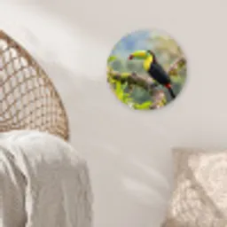 Toekan - Jungle - Natuur - Kleurrijk Wandcirkel kunststof plaat 5mm dik klein -sfeer5