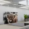 Schotse hooglander - Verf - Koe keuken achterwand spatscherm klein -3d_schuin