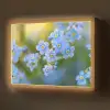 Bloemetjes - Blauw - Vergeet mij nietjes Light Box met batterij (Wandlamp) middel -z3d_website