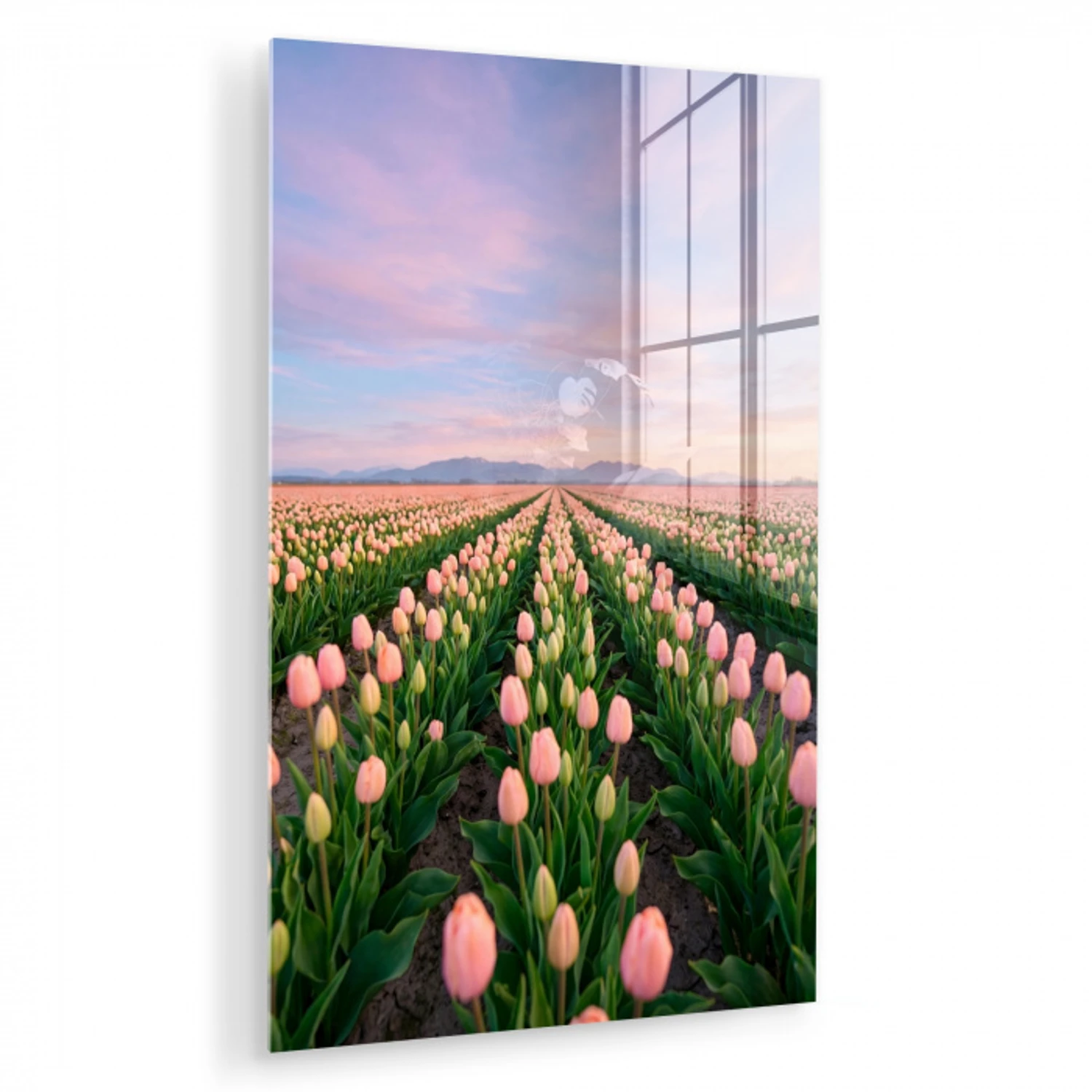 Tulpen - Landschap - Roze plexiglas 5mm klein -zzzproduct_nieuw