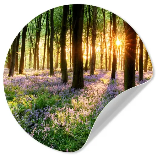 Bos - Bloemen - Lavendel - Zon - Paars - Natuur Wandcirkel behangsticker klein -3d