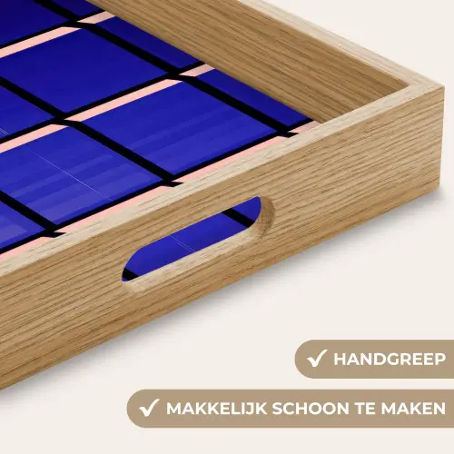 Vliegtuig - Ruiten - Blauw - Rechthoekig Dienblad Rechthoek middel -USP_HandgreepNL