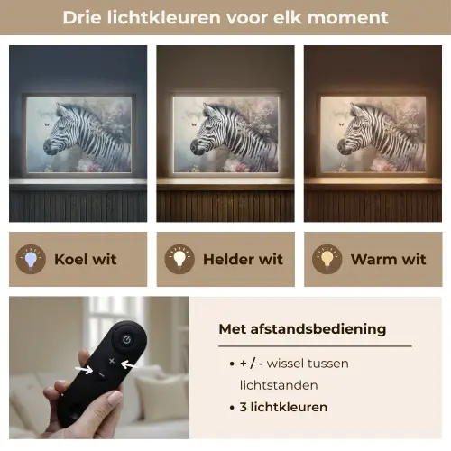 Zebra - Wilde dieren - Vlinder - Bloemen Light Box met batterij (Wandlamp) middel -USP_lichtkleurNL