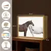 Paard - Modern - Balans Light Box met batterij (Wandlamp) middel -USP_websiteoverzichtNL