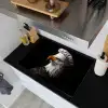 Arend -Amerika - Koksmuts - Vogel - Stoer Inductie beschemer met haakjes klein -sfeer1