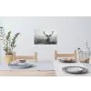 Hert - Mistig - Zwart - Wit Muursticker klein -eettafel