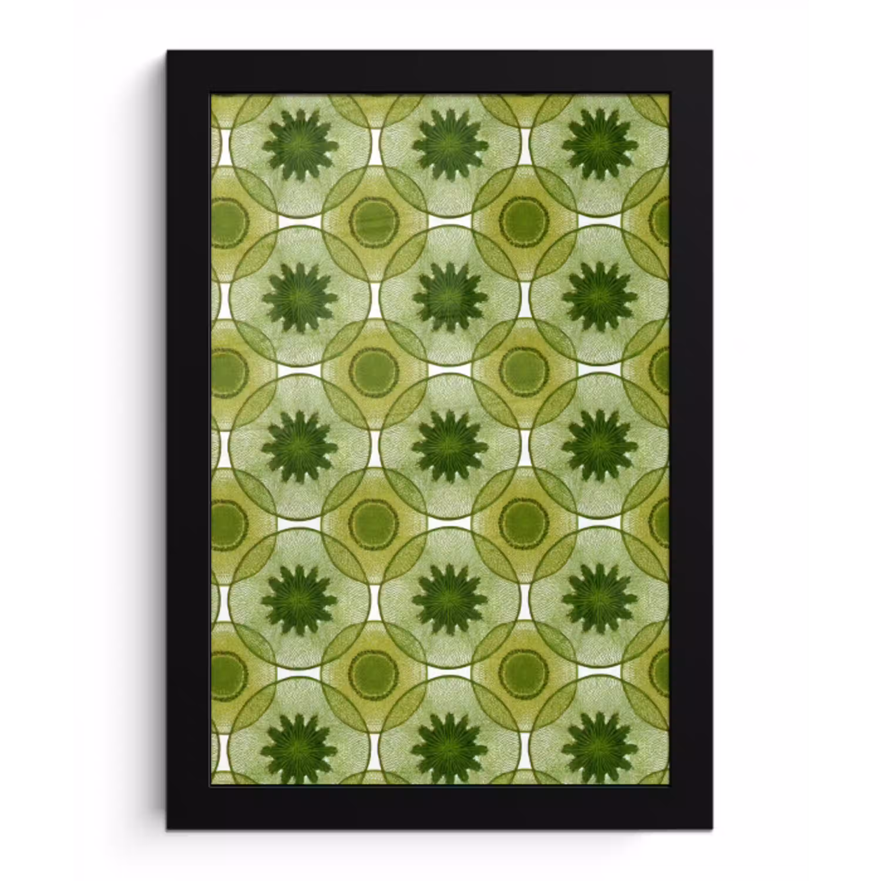 Cirkels - Patroon - Groen fotolijst zwart zonder passe partout klein 224 -3d