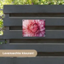 Dahlia - Bloem - Close up - Roze tuinposter los doek klein -sfeer3