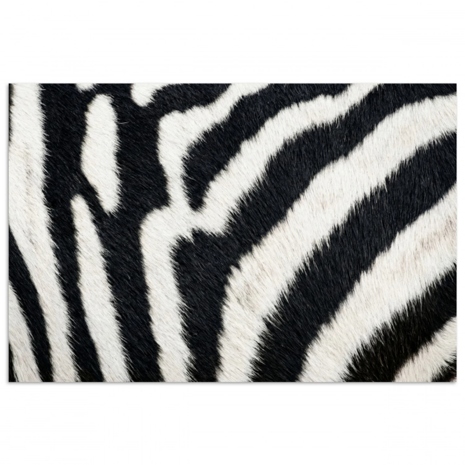 Zebra - Vacht - Klassiek - Zwart - Wit poster papier klein -3d