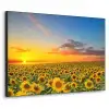 Bloemen - Zonnebloem - Zonsondergang - Nacht - Oranje Textielframe - compleet frame klein -3d