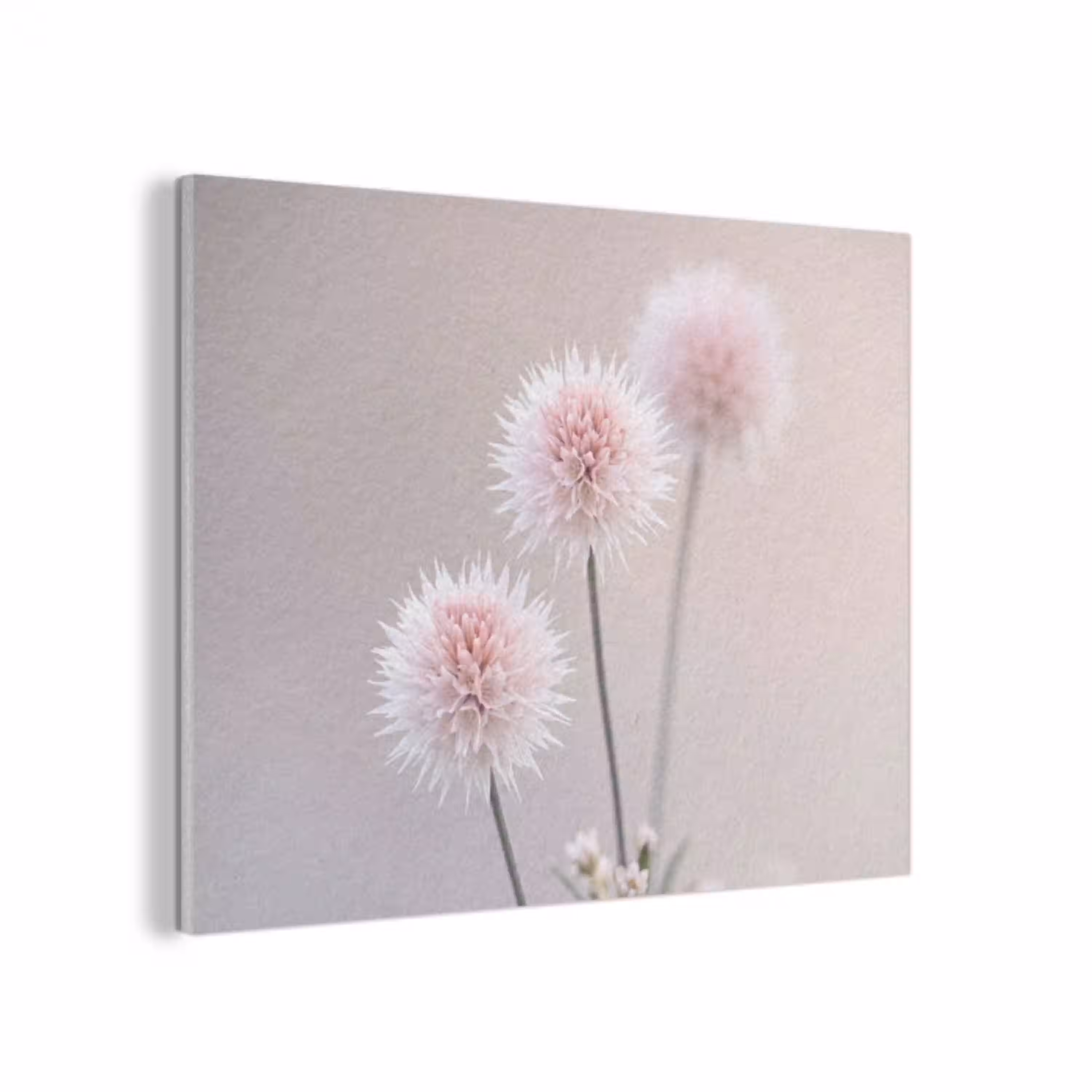 Bloemen - Bollen - Roze PET vilt klein -3d