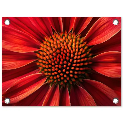 Close up - Bloem- Rood tuinposter los doek klein -3d