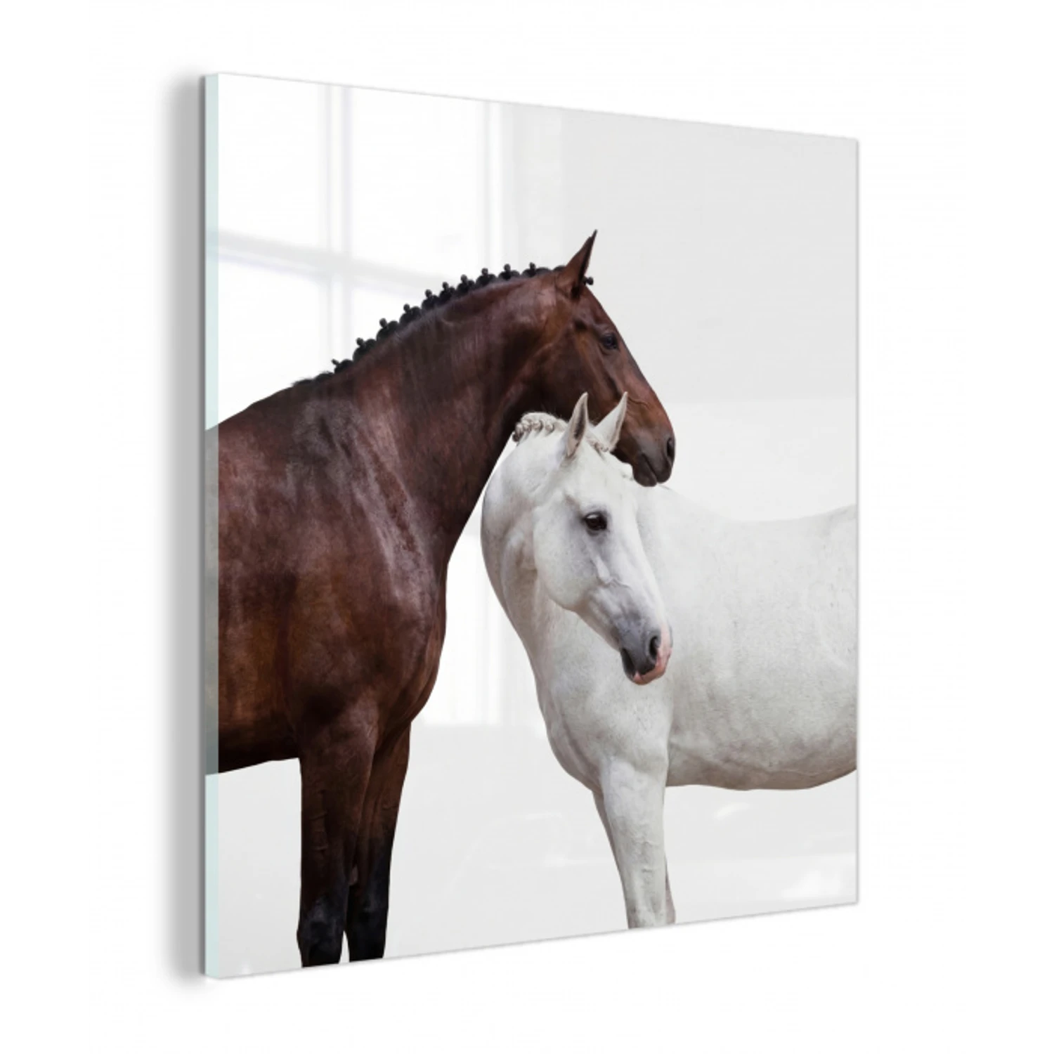 Paard - Modern - Balans plexiglas 5mm klein -z3d