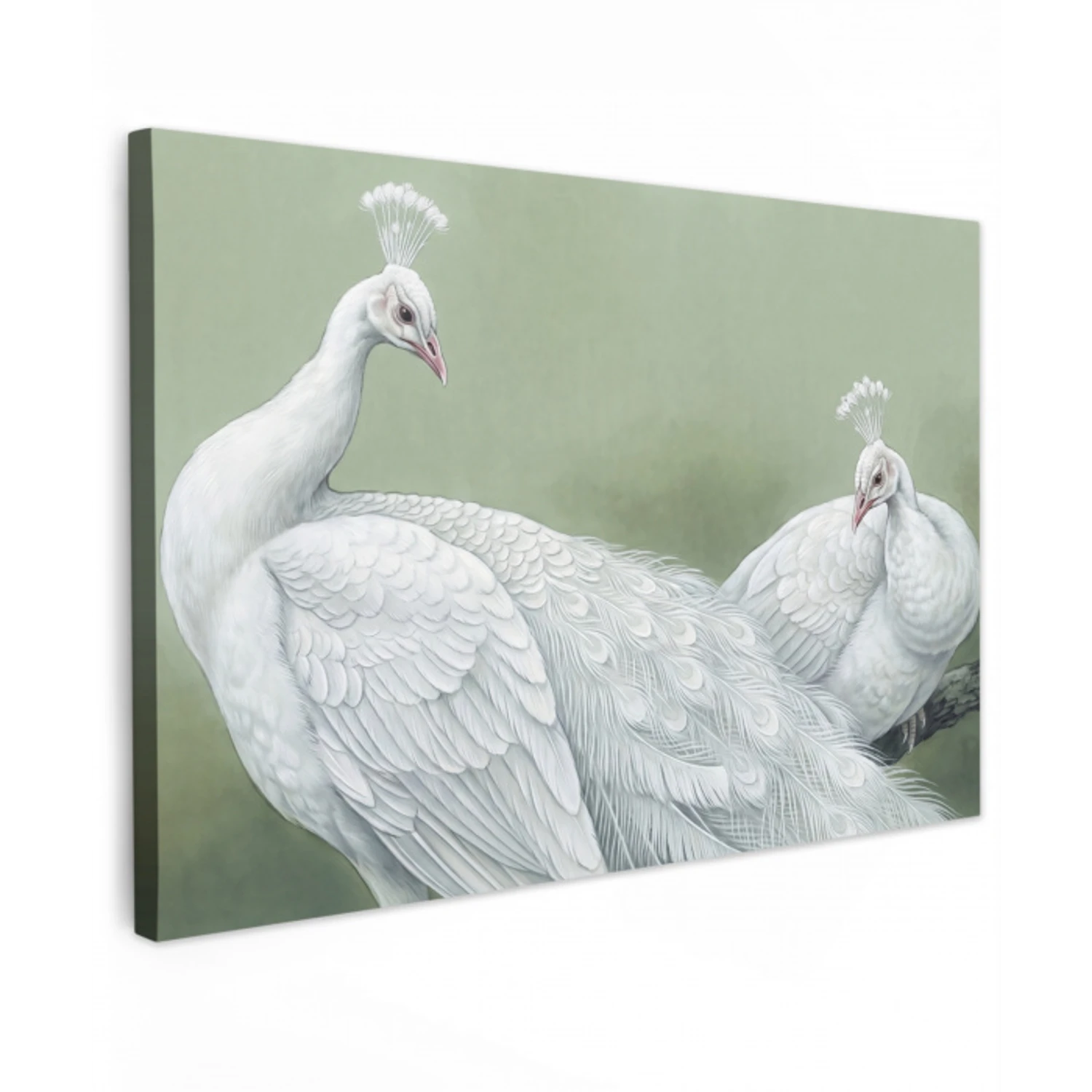 Pauwen - Wit - Natuur - Groen canvas 2cm klein -z3d
