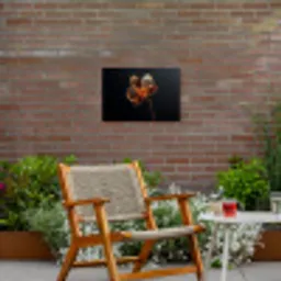 Orchidee - Doorzichtig - Bloem Tuinposter op houten frame 2 cm dik klein -sfeer3