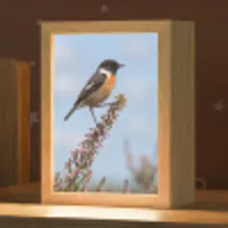 Roodborsttapuit - Heide - Paars - Natuur - Sfeervol Light Box met kabel (Kinderlampje) klein -zzz_3d_website