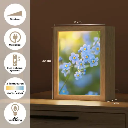 Bloemetjes - Blauw - Vergeet mij nietjes Light Box met kabel (Tafellamp) klein -USP_NL