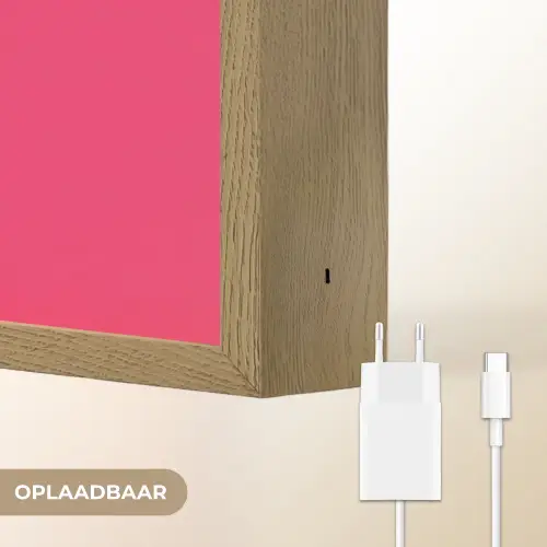 Schepijs - Roze - Hoorntje Light Box met batterij (Wandlamp) middel -USP_websiteoplaadbaarNL