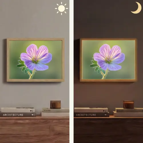 Bloem - Close up - Paars Light Box met batterij (Wandlamp) middel -sfeer3