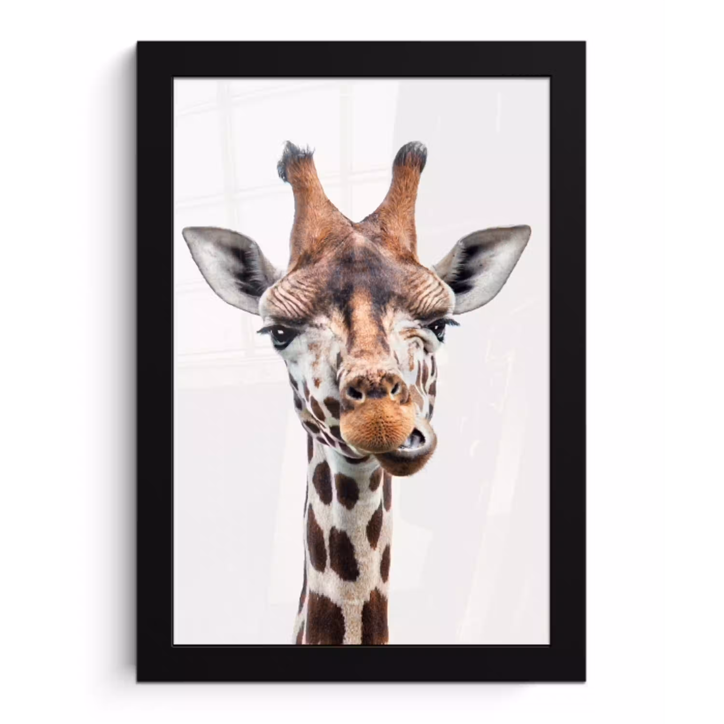 Jongens - Giraffe - Dieren - Kop - Portret - Kind - Meisjes fotolijst zwart zonder passe partout klein -3d