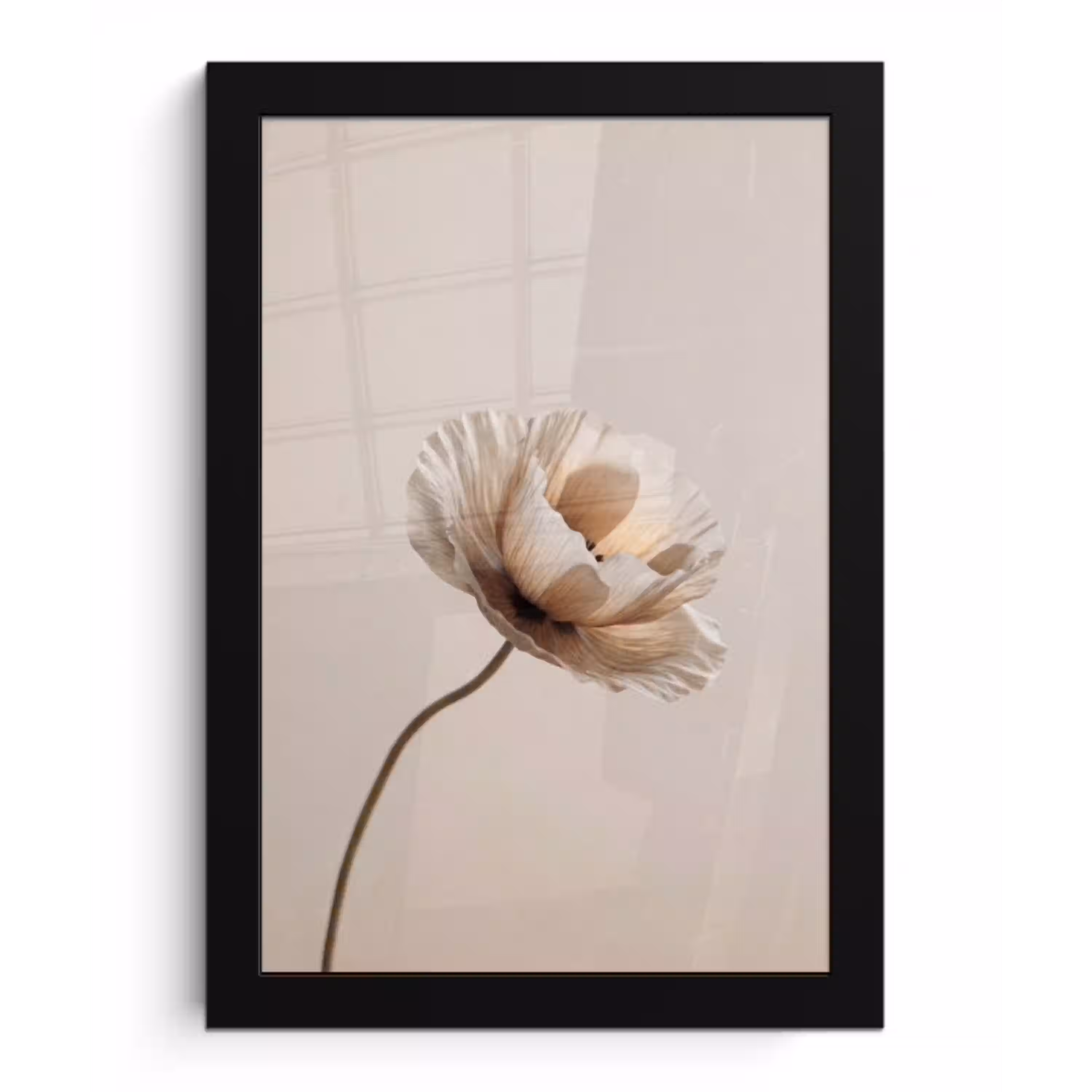 Bloem - Beige - Crème fotolijst zwart zonder passe partout klein -3d