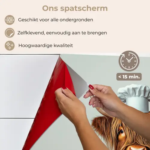 Schotse Hooglander - Bruin - Hoorns - Kokskleding keuken achterwand spatscherm klein -spatscherm_NL