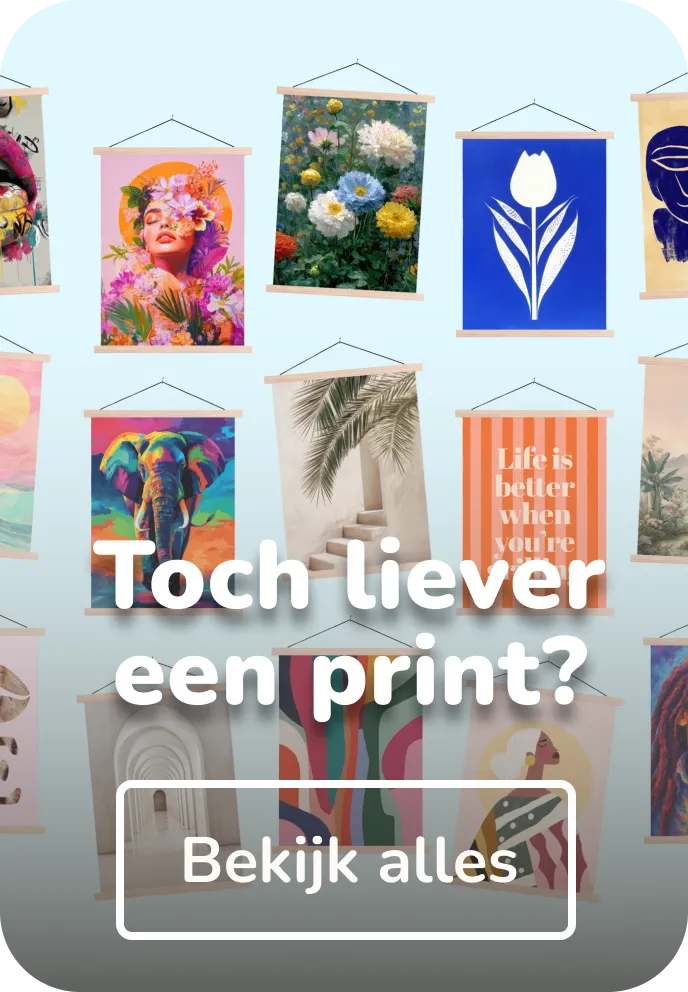 Schoolplaat collecties