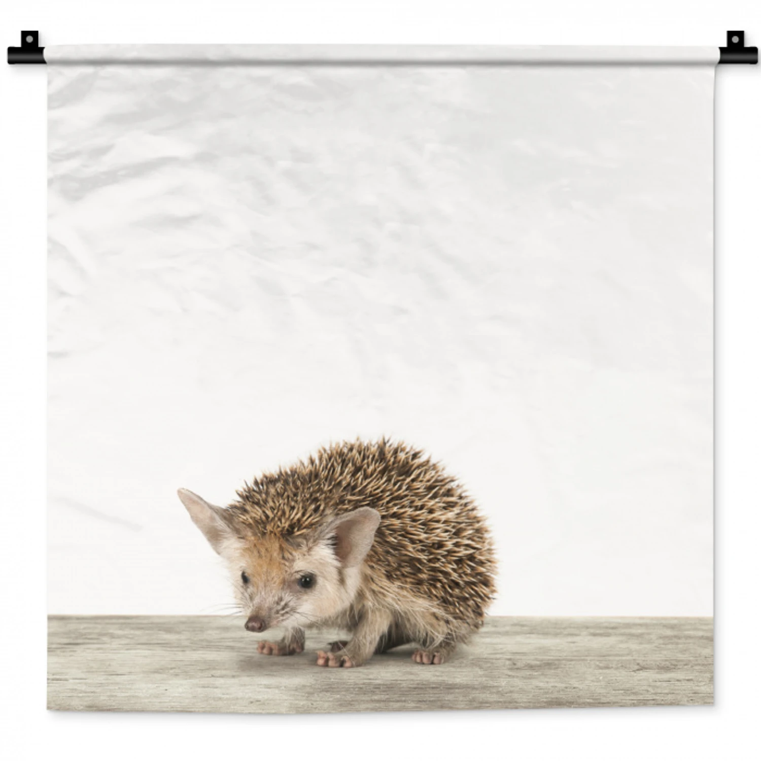 Egel - Dieren - Kinderen - Jongens - Meisjes Wandkleed katoen klein -zz3d