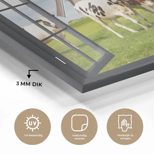 Doorkijk - Koe - Molen - Koeien - Weiland - Gras - Groen plexiglas 5mm klein -sfeer2