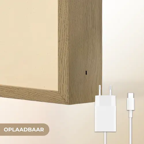 Schildpad - Sierlijk - Groen - Schild Light Box met batterij (Wandlamp) middel -USP_websiteoplaadbaarNL