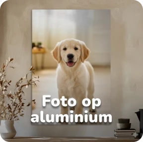 foto op aluminium jonge hond