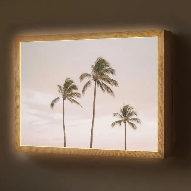 Lightbox - Wandlamp - Palmbomen - Zonsondergang - Roze