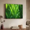 Grassprieten - Lichtinval - Groen Textielframe zwart klein -sfeer3