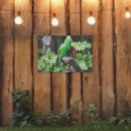 Vogel - Papegaai - Groen tuinposter los doek klein -sfeer1